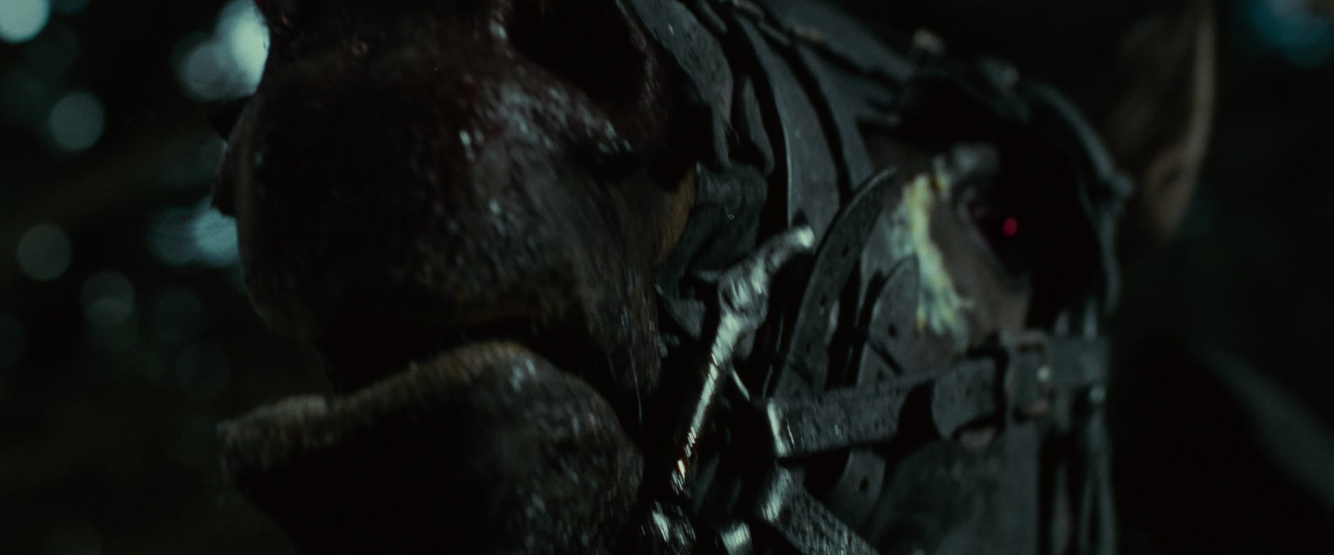 The Lord of the Rings: The Fellowship of the Ring (2001) screencap 6240
