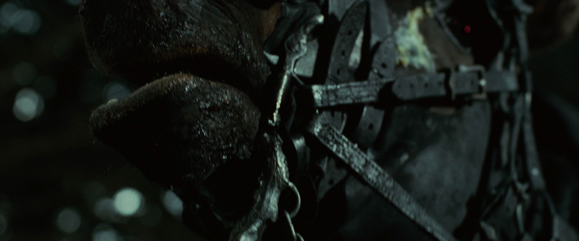 The Lord of the Rings: The Fellowship of the Ring (2001) movie still 6241
