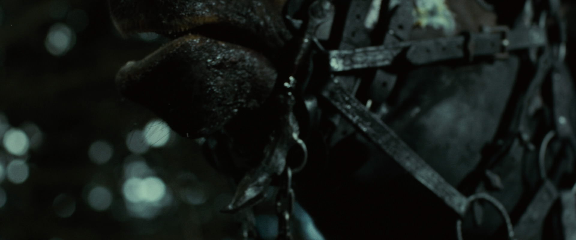 The Lord of the Rings: The Fellowship of the Ring (2001) HD screenshot 6242