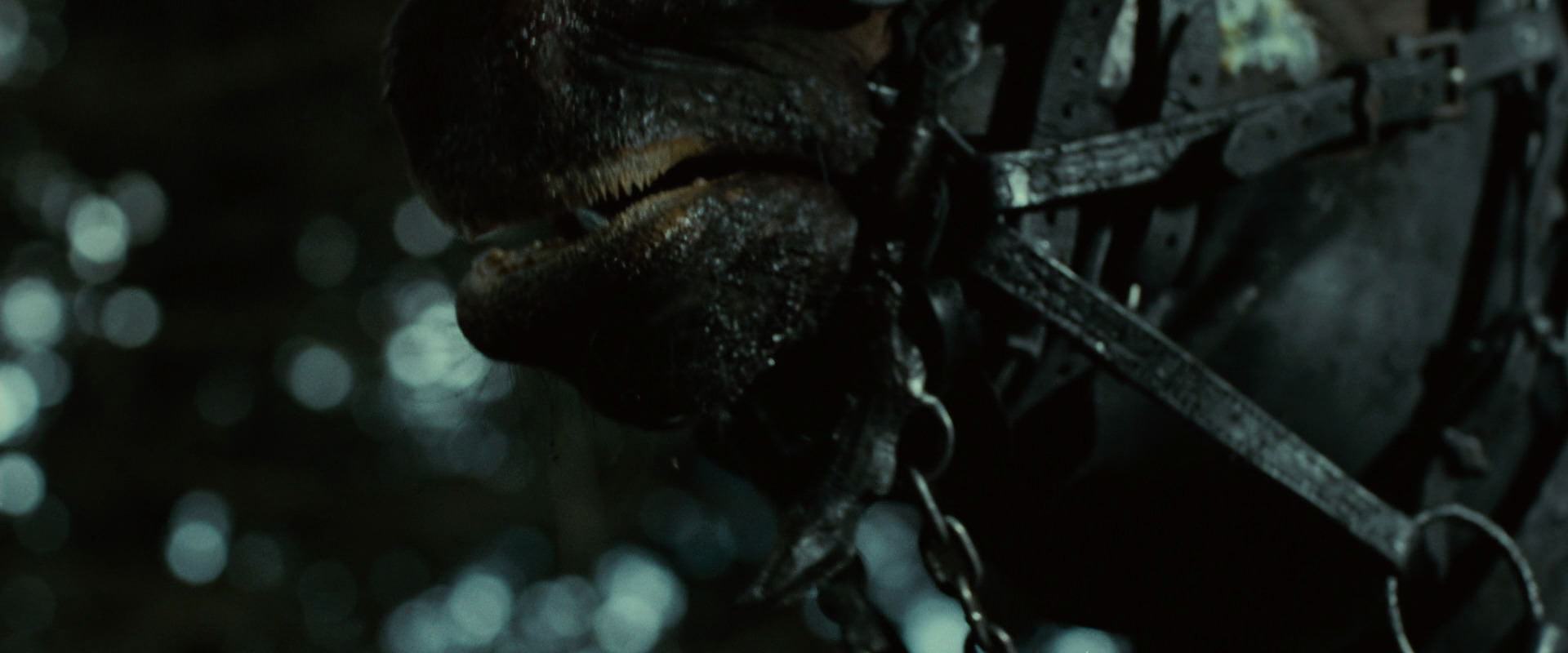 The Lord of the Rings: The Fellowship of the Ring (2001) screencap 6243