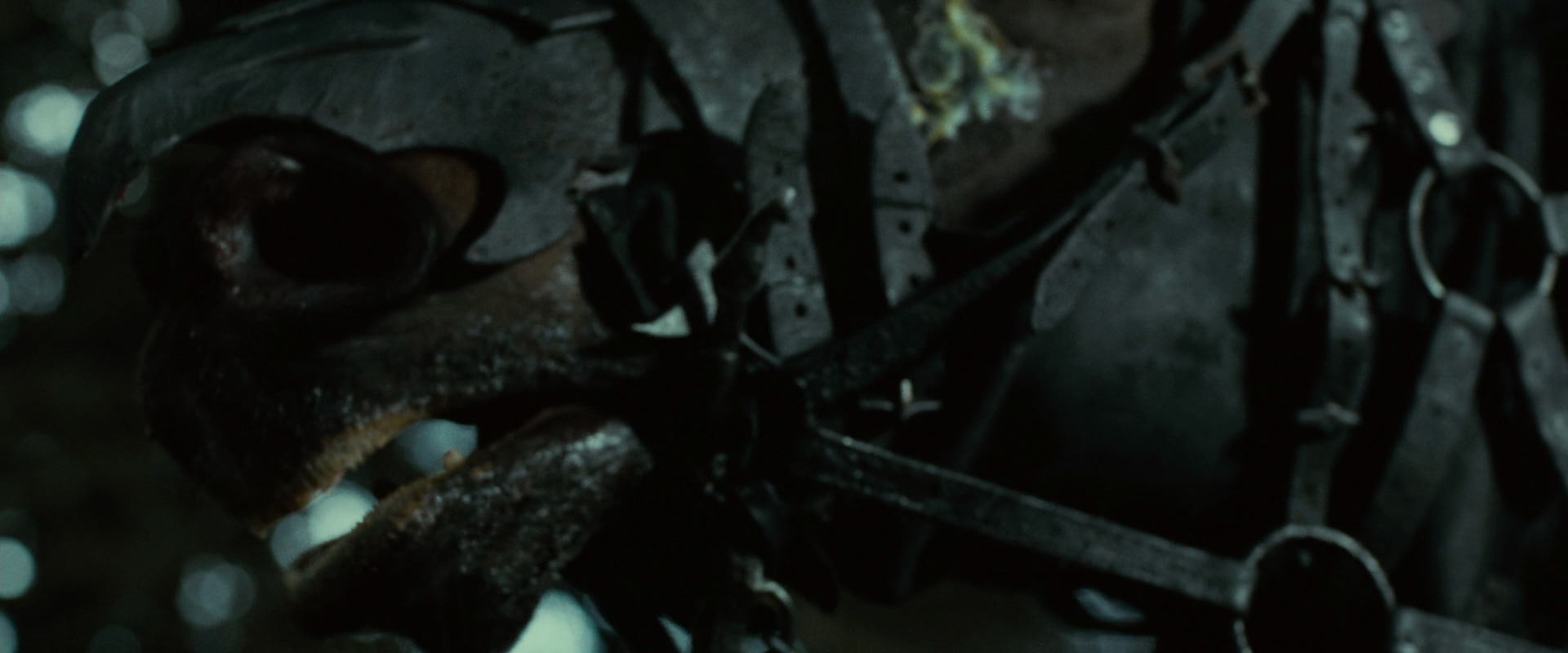 The Lord of the Rings: The Fellowship of the Ring (2001) HD screenshot 6245