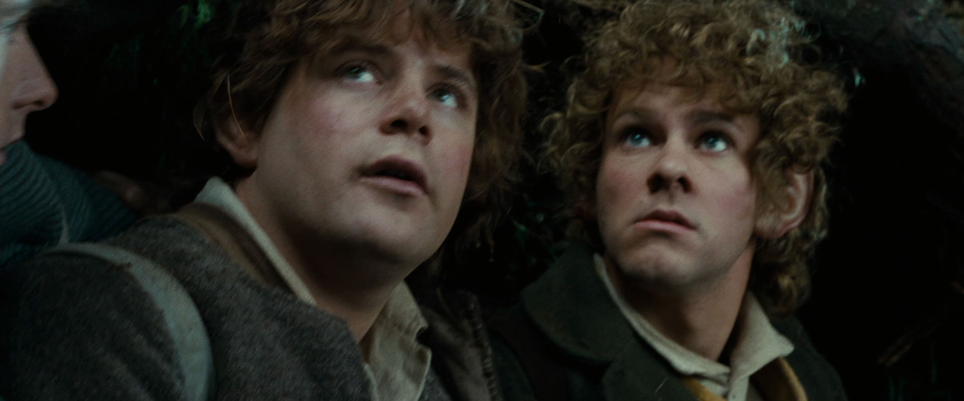 The Lord of the Rings: The Fellowship of the Ring (2001) screencap 6246