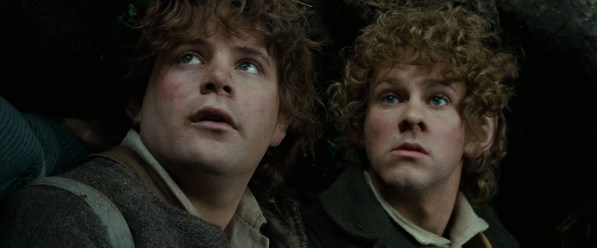 The Lord of the Rings: The Fellowship of the Ring (2001) movie still 6247