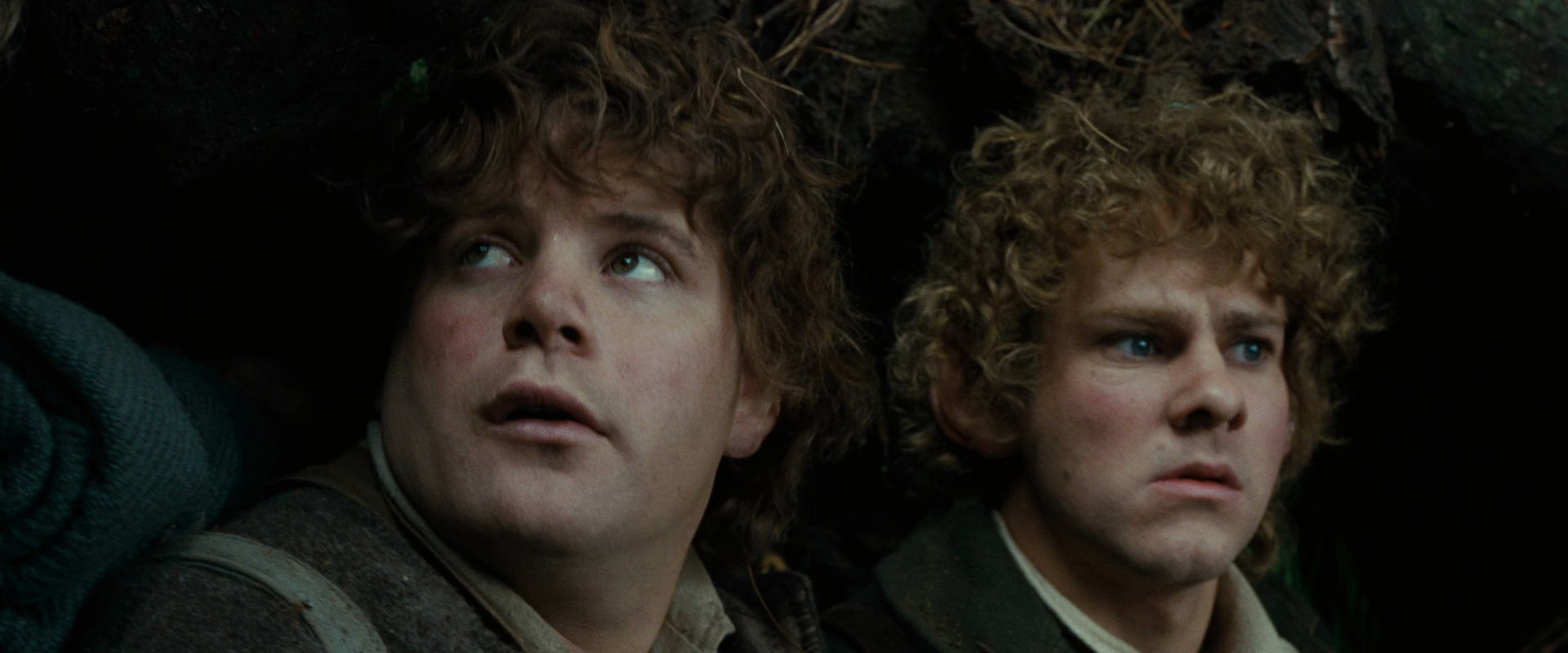 The Lord of the Rings: The Fellowship of the Ring (2001) HD screenshot 6248