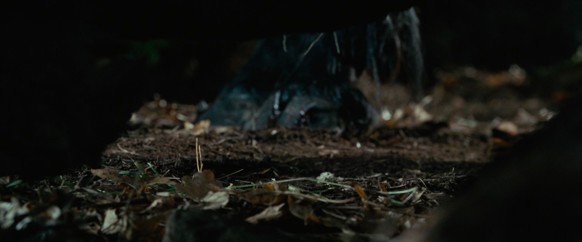 The Lord of the Rings: The Fellowship of the Ring (2001) screencap 6249