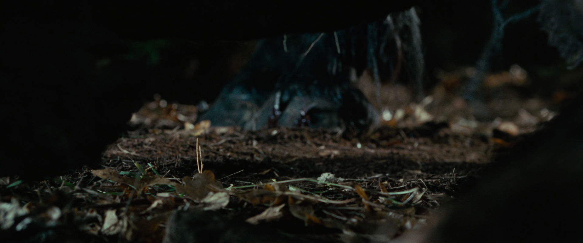 The Lord of the Rings: The Fellowship of the Ring (2001) movie still 6250