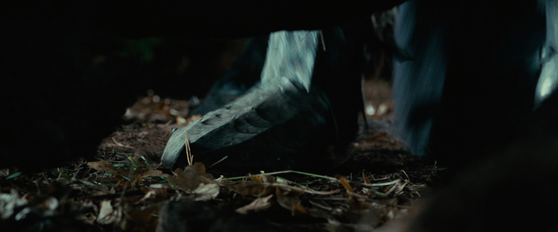The Lord of the Rings: The Fellowship of the Ring (2001) HD screenshot 6251