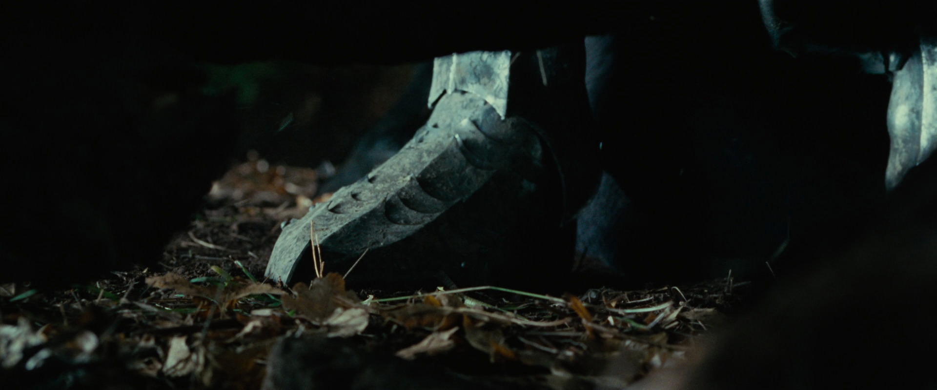 The Lord of the Rings: The Fellowship of the Ring (2001) screencap 6252