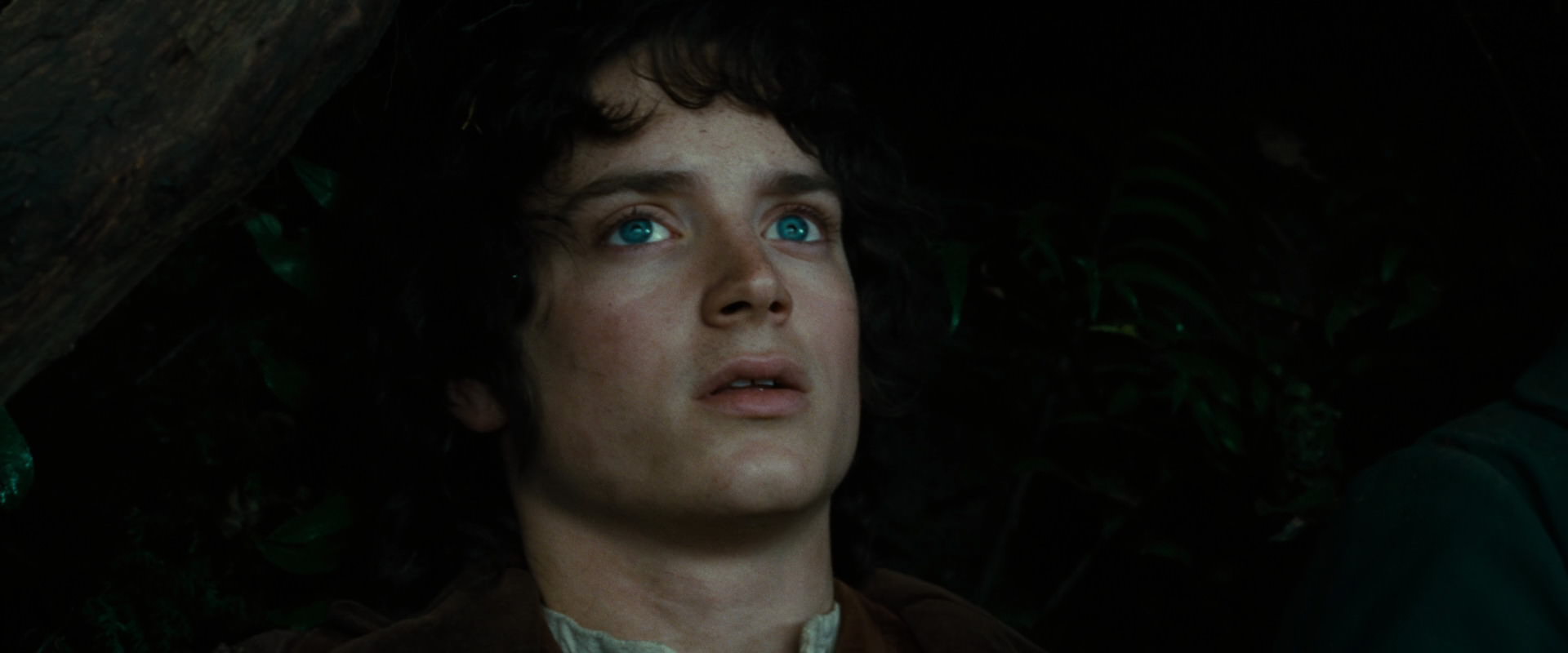 The Lord of the Rings: The Fellowship of the Ring (2001) HD screenshot 6254