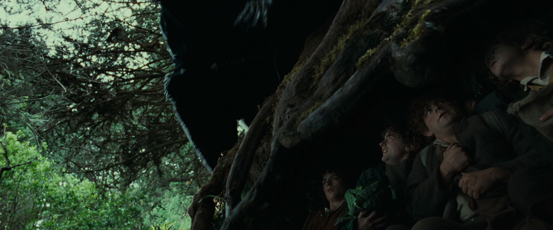 The Lord of the Rings: The Fellowship of the Ring (2001) screencap 6255