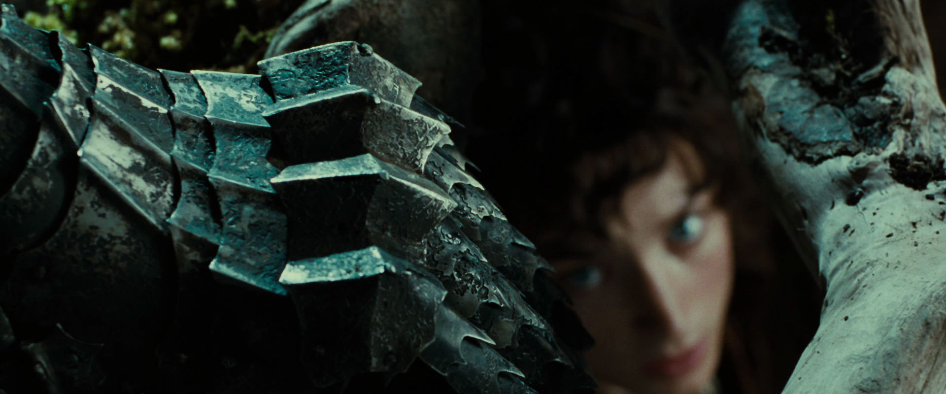The Lord of the Rings: The Fellowship of the Ring (2001) screencap 6258