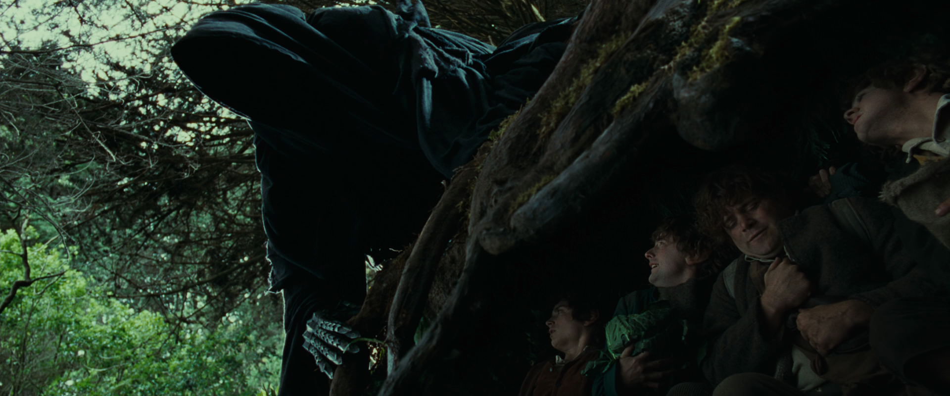 The Lord of the Rings: The Fellowship of the Ring (2001) screencap 6261