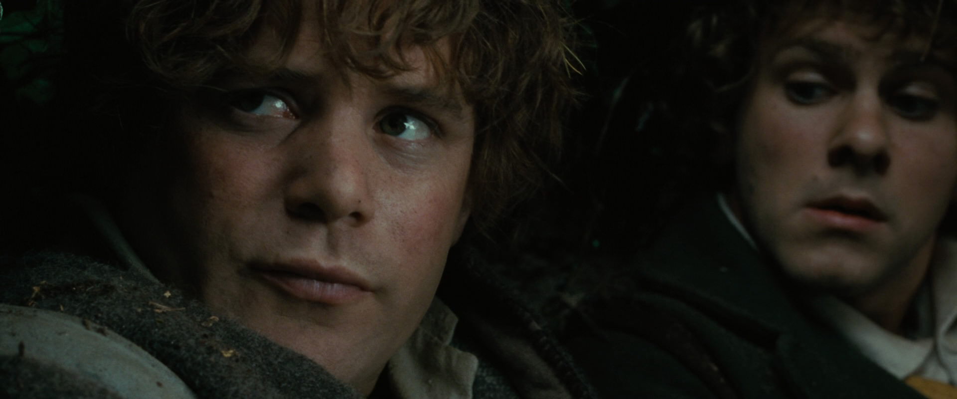 The Lord of the Rings: The Fellowship of the Ring (2001) HD screenshot 6266