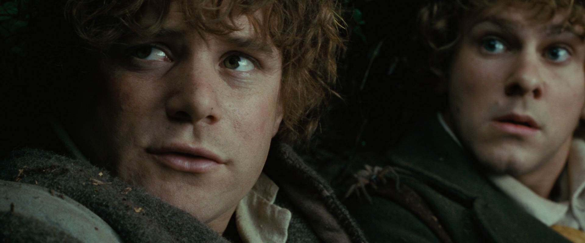 The Lord of the Rings: The Fellowship of the Ring (2001) screencap 6267