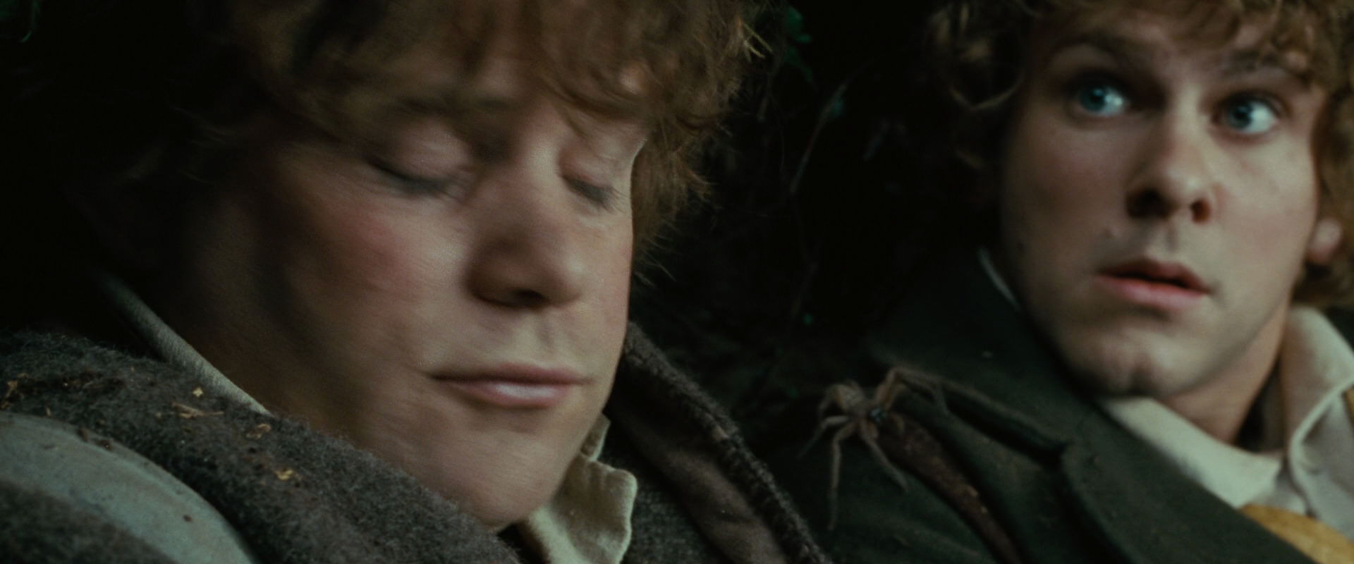 The Lord of the Rings: The Fellowship of the Ring (2001) movie still 6268