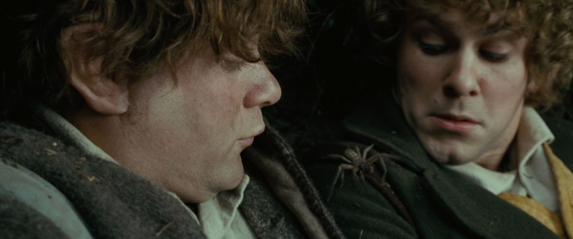 The Lord of the Rings: The Fellowship of the Ring (2001) HD screenshot 6269
