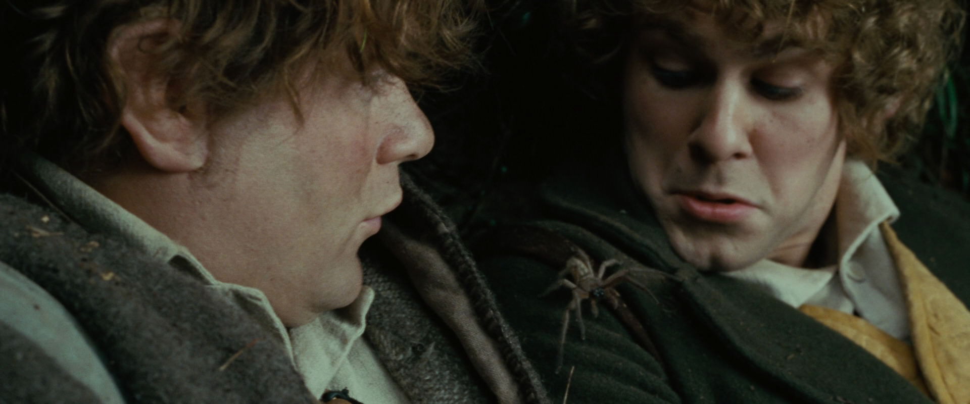 The Lord of the Rings: The Fellowship of the Ring (2001) screencap 6270