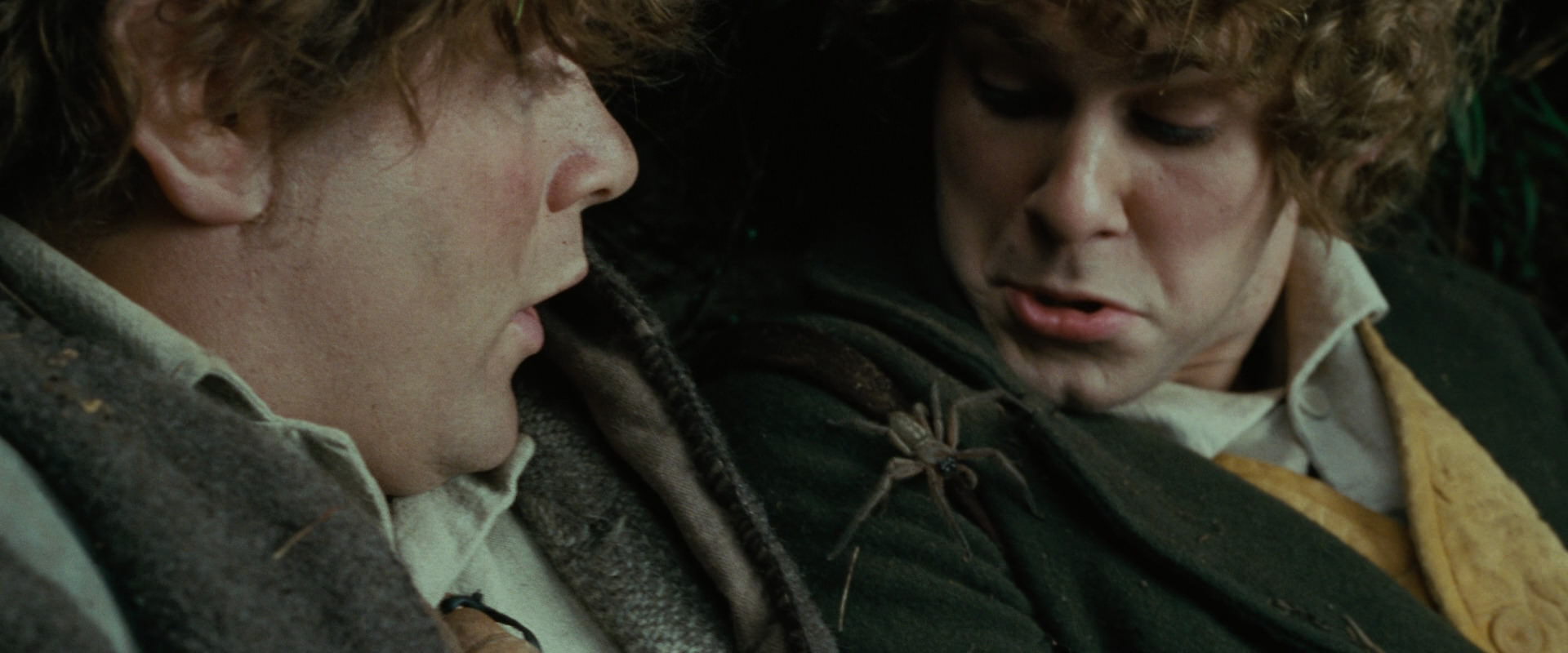 The Lord of the Rings: The Fellowship of the Ring (2001) movie still 6271