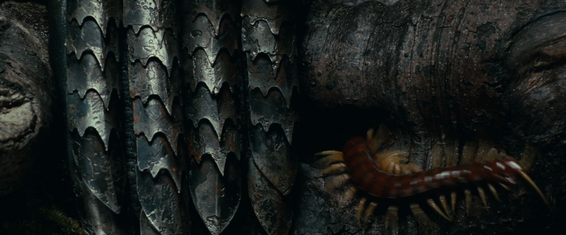 The Lord of the Rings: The Fellowship of the Ring (2001) screencap 6273