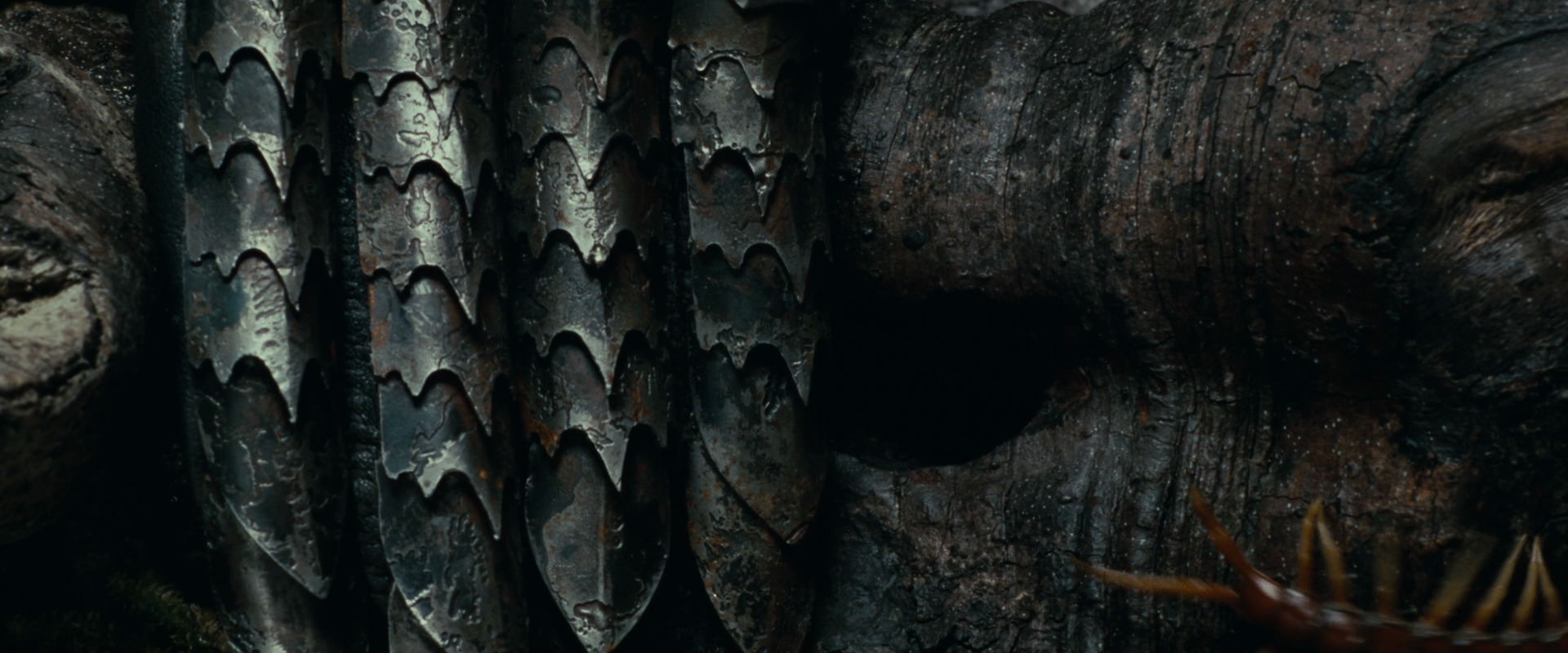 The Lord of the Rings: The Fellowship of the Ring (2001) movie still 6274