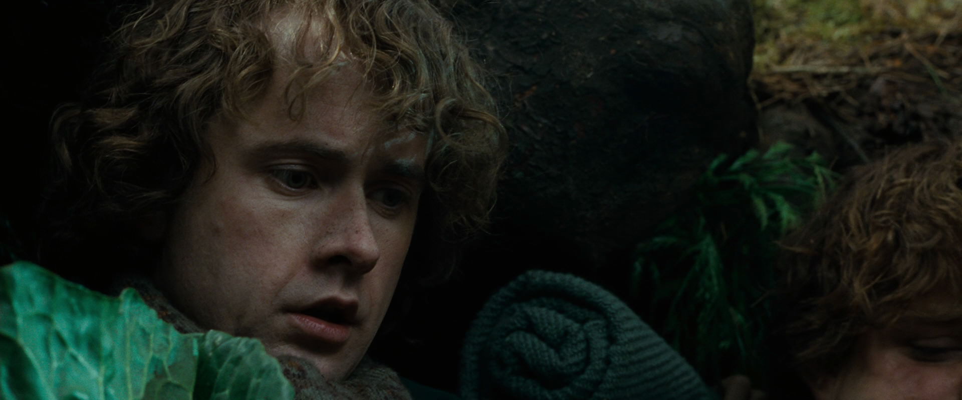 The Lord of the Rings: The Fellowship of the Ring (2001) HD screenshot 6275