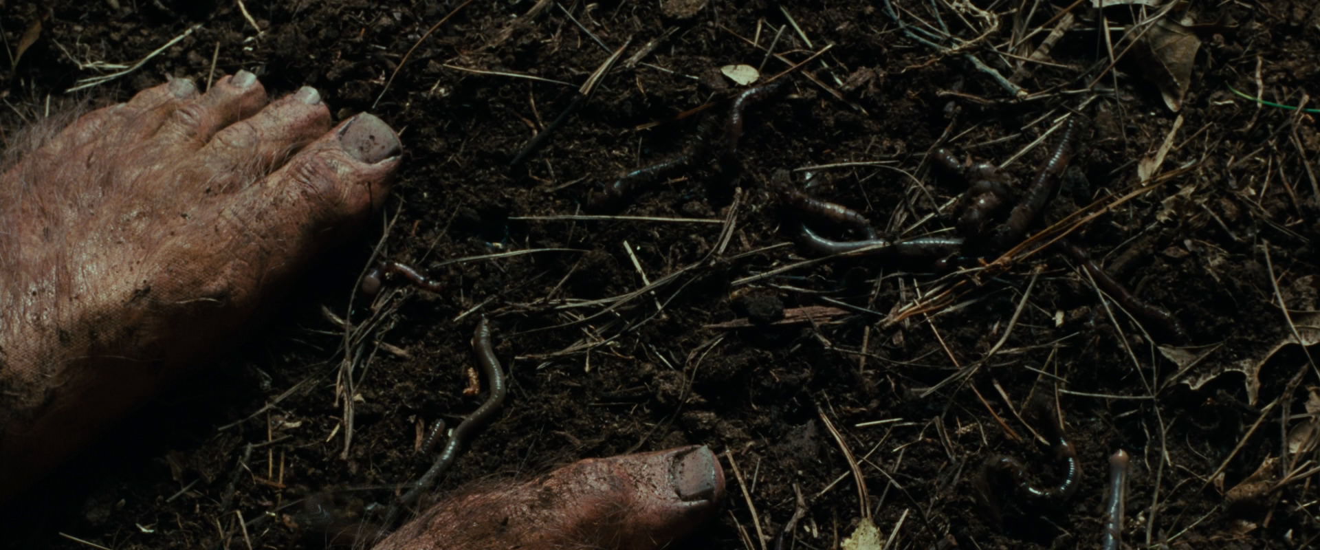 The Lord of the Rings: The Fellowship of the Ring (2001) screencap 6276