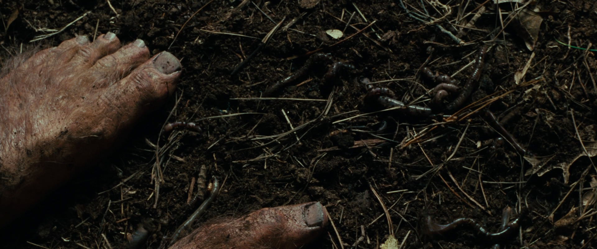 The Lord of the Rings: The Fellowship of the Ring (2001) movie still 6277
