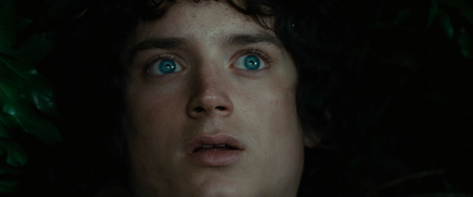 The Lord of the Rings: The Fellowship of the Ring (2001) HD screenshot 6278