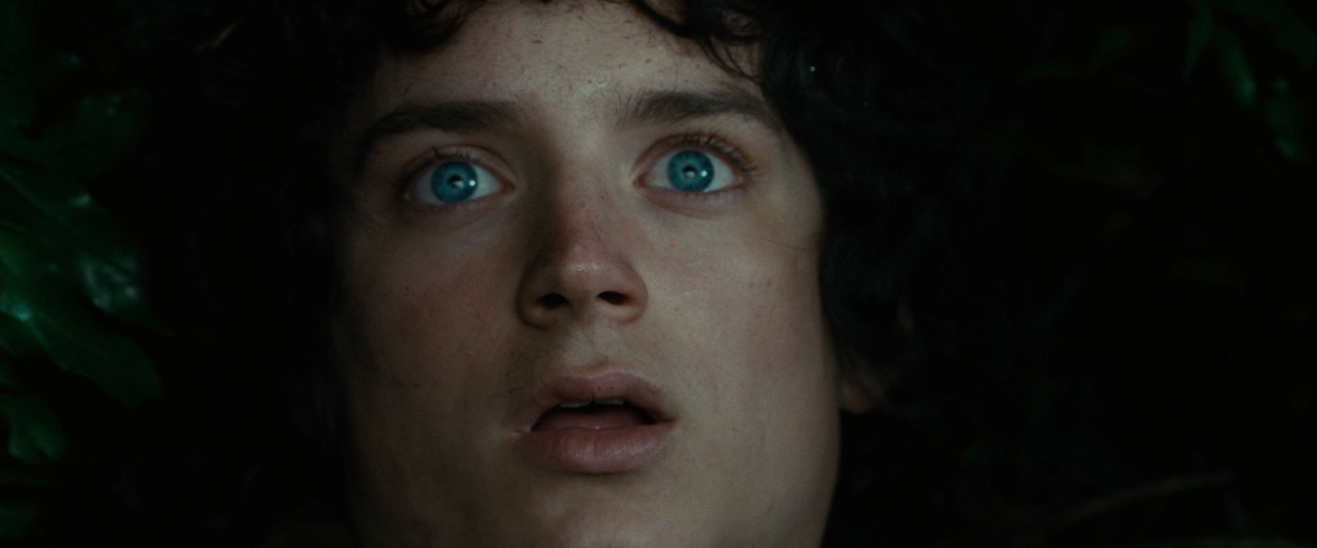 The Lord of the Rings: The Fellowship of the Ring (2001) screencap 6279