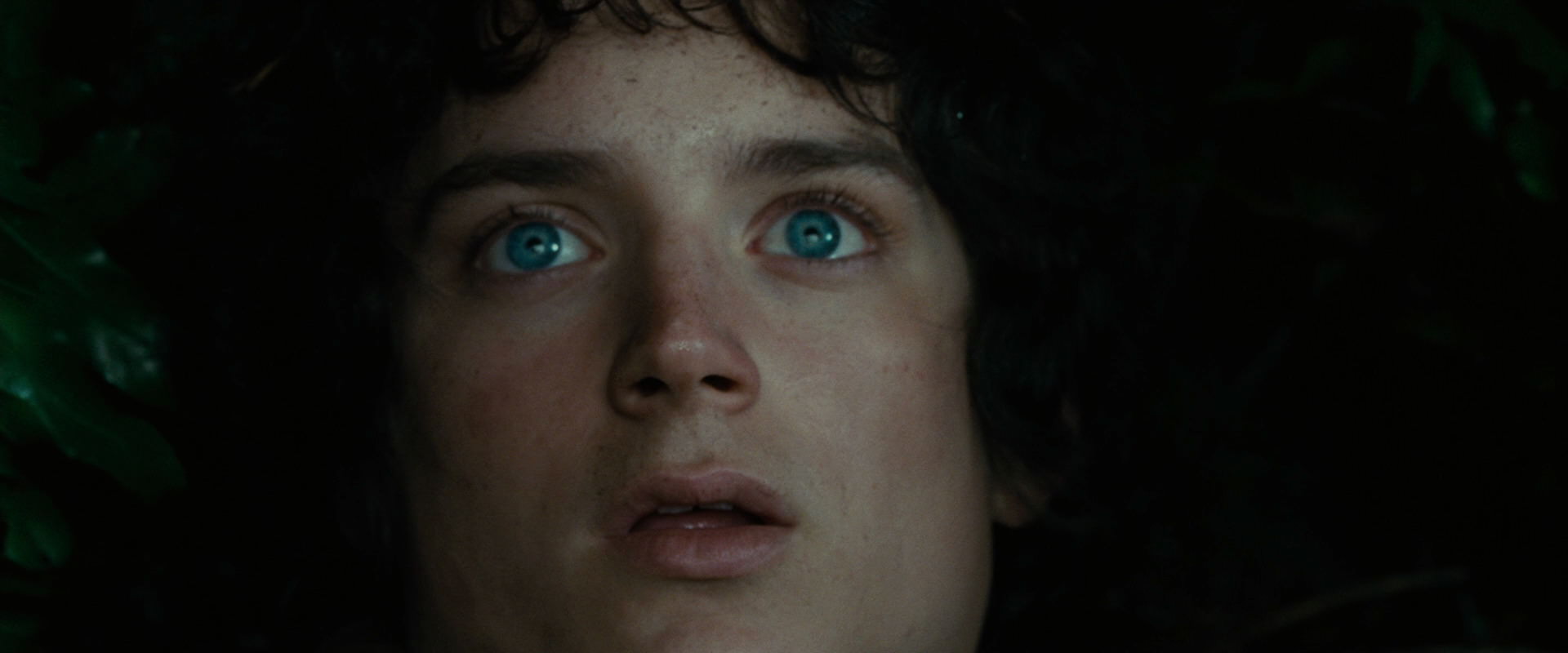 The Lord of the Rings: The Fellowship of the Ring (2001) movie still 6280
