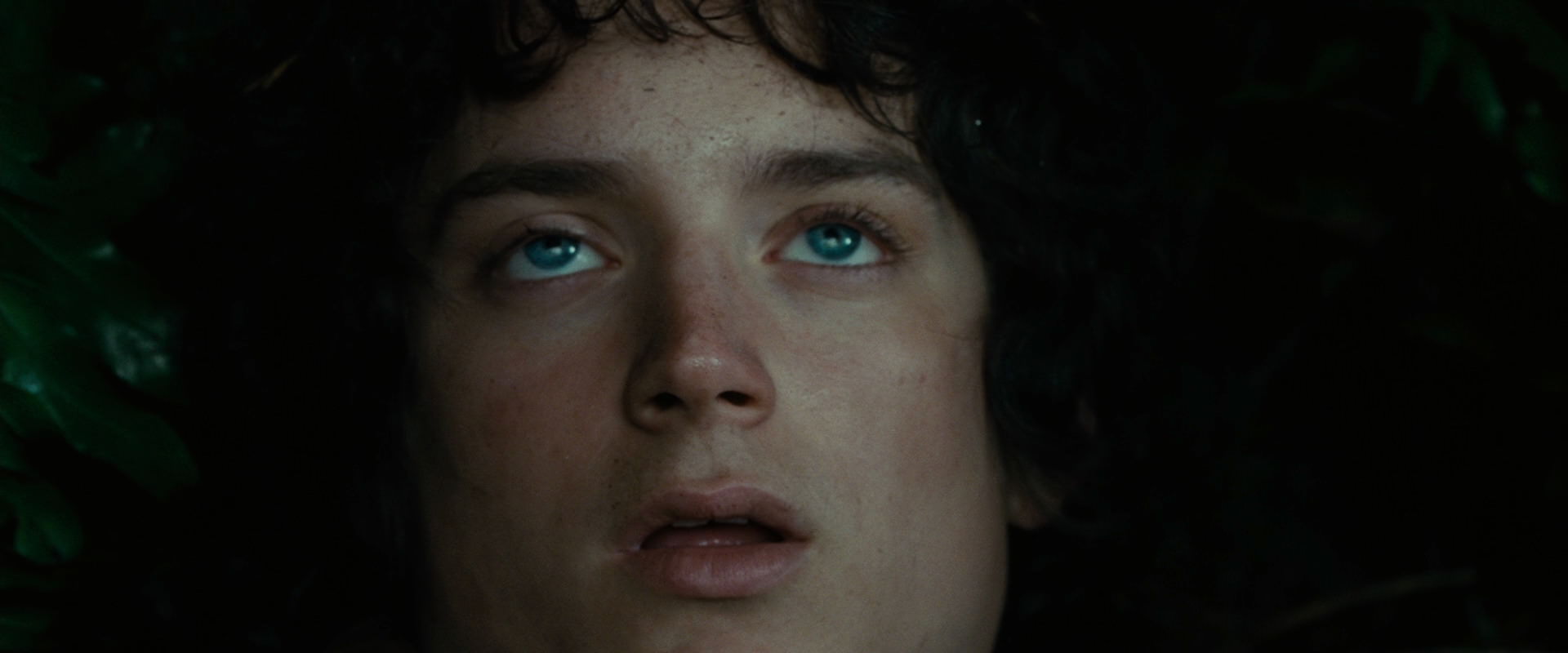 The Lord of the Rings: The Fellowship of the Ring (2001) HD screenshot 6281