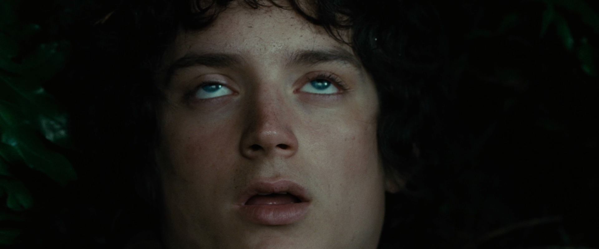 The Lord of the Rings: The Fellowship of the Ring (2001) screencap 6282