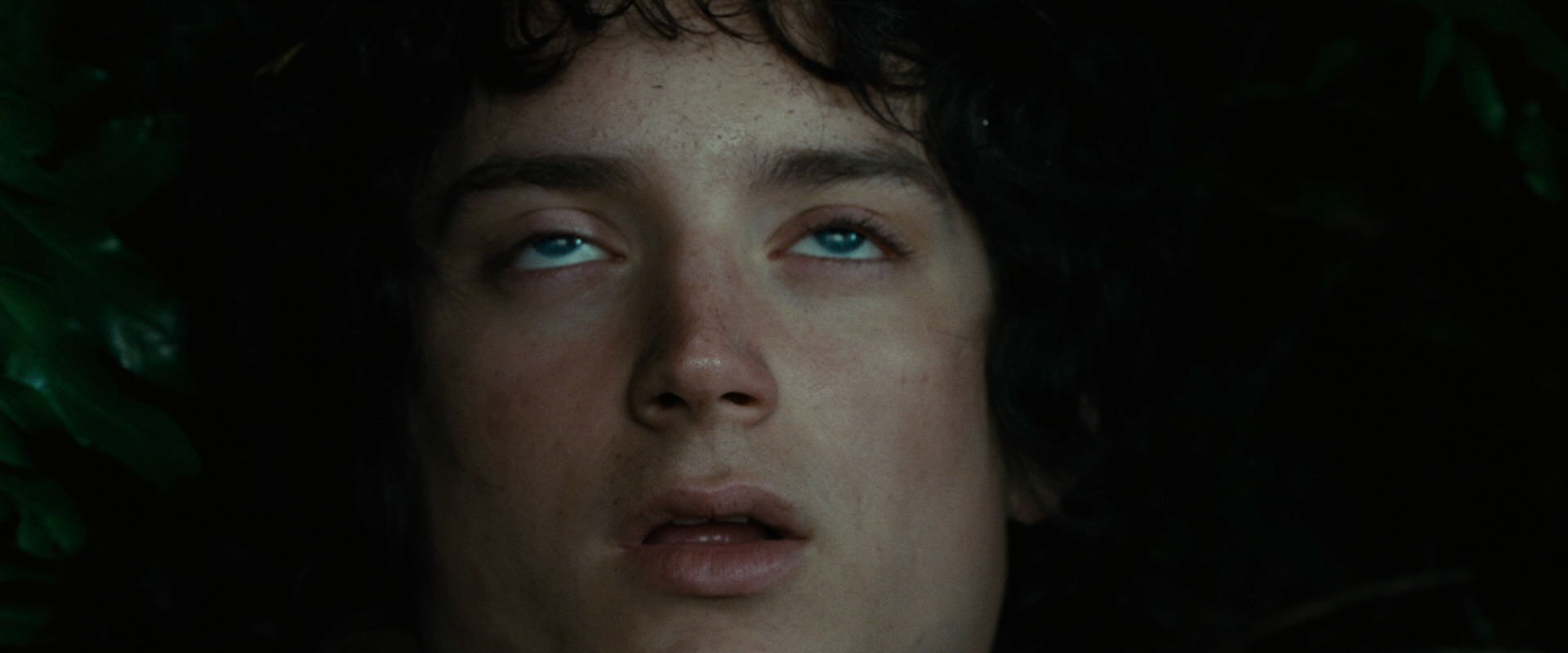 The Lord of the Rings: The Fellowship of the Ring (2001) movie still 6283