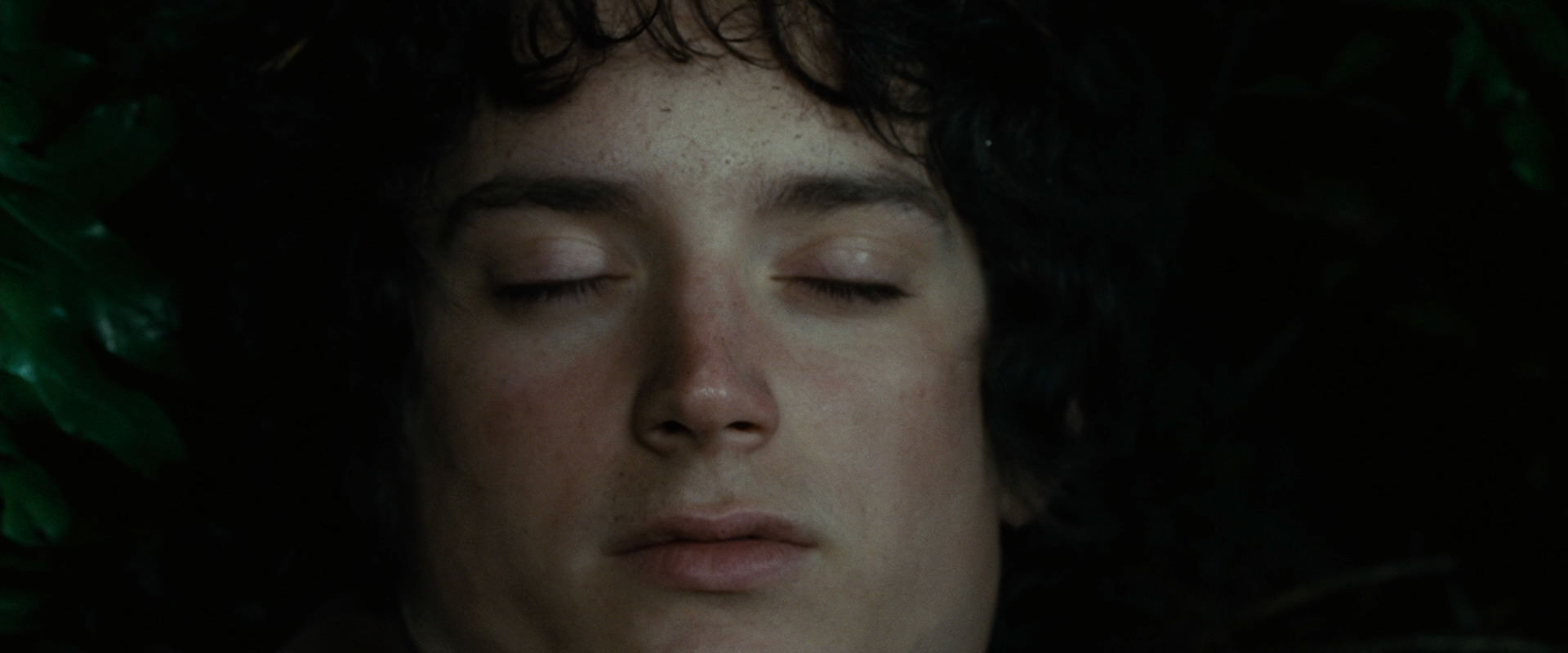 The Lord of the Rings: The Fellowship of the Ring (2001) screencap 6285