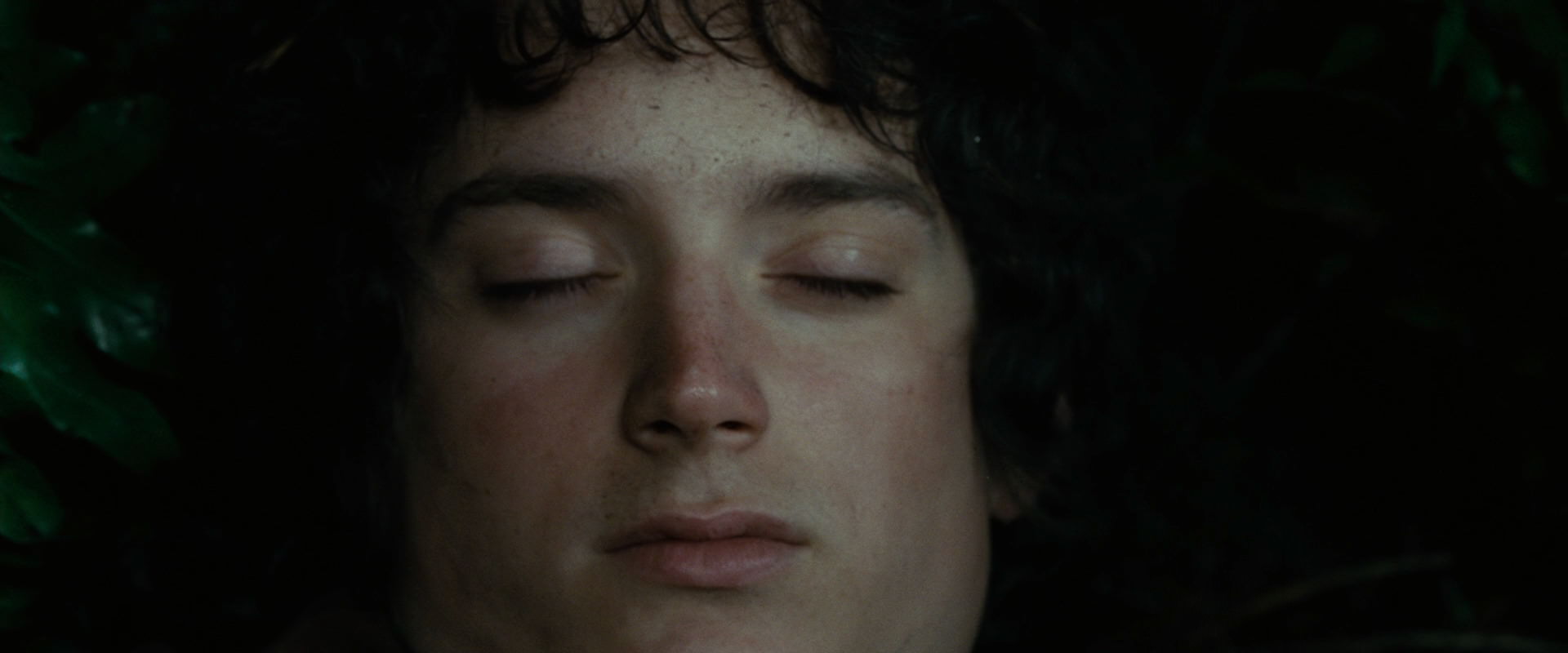 The Lord of the Rings: The Fellowship of the Ring (2001) movie still 6286