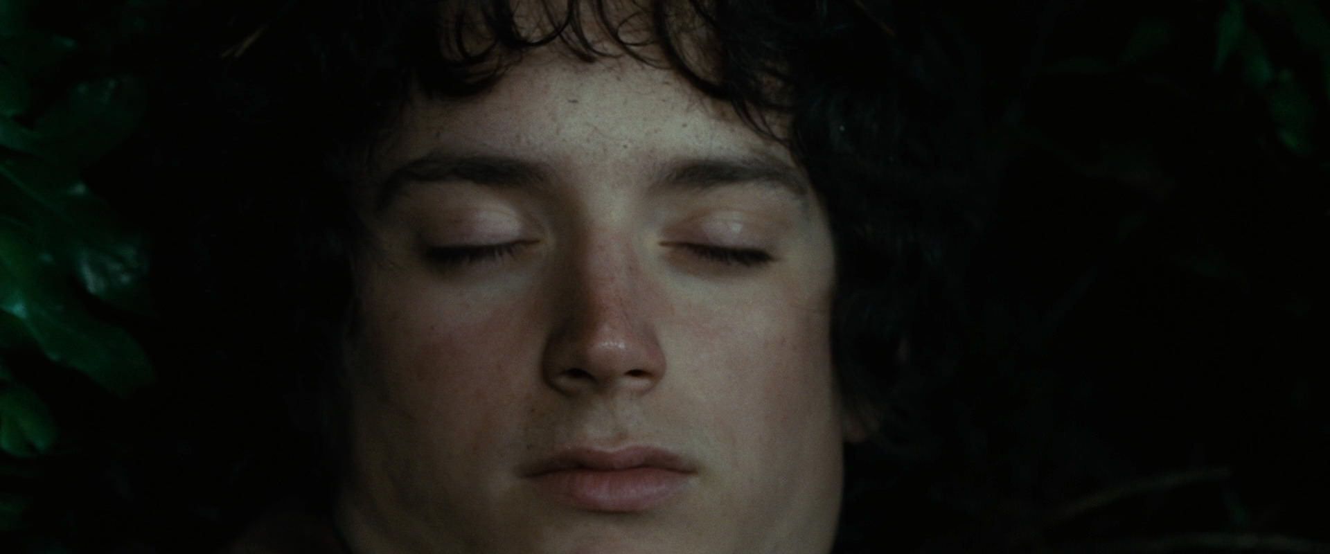 The Lord of the Rings: The Fellowship of the Ring (2001) HD screenshot 6287