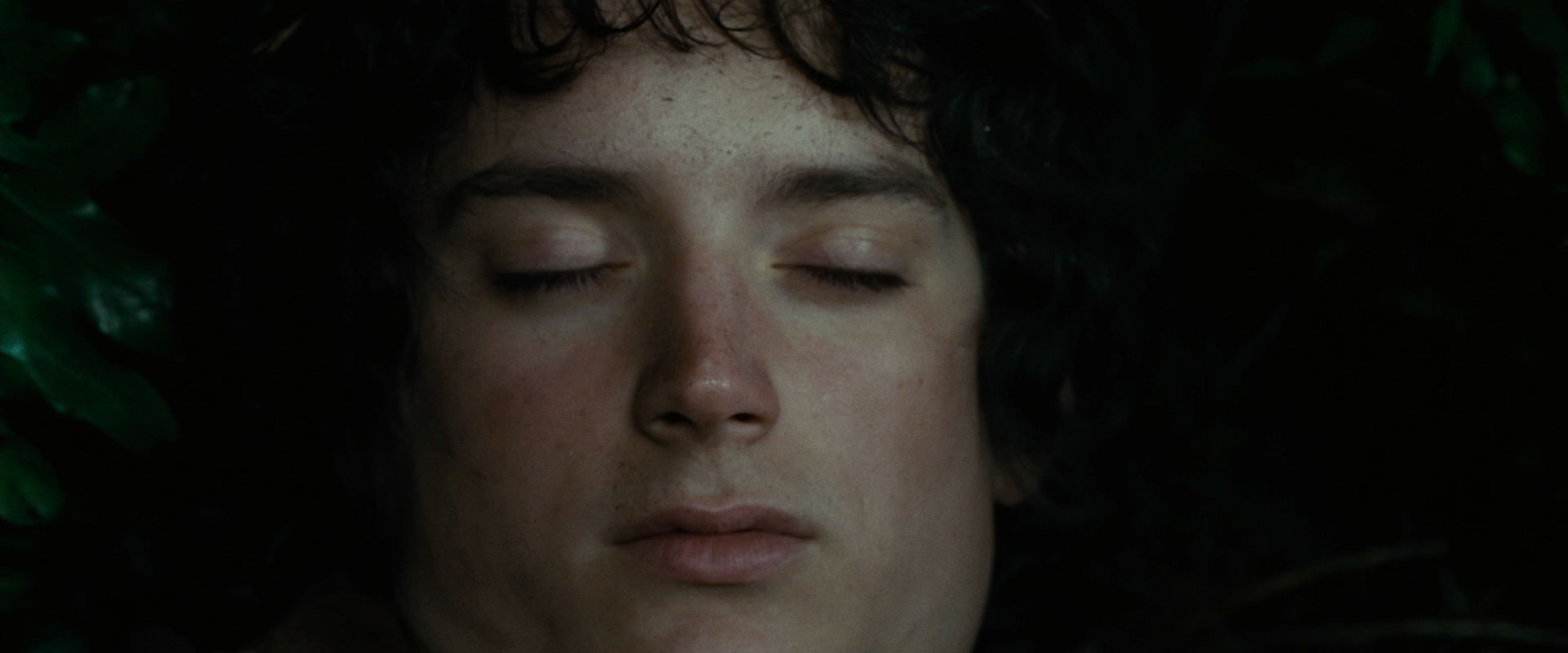 The Lord of the Rings: The Fellowship of the Ring (2001) screencap 6288