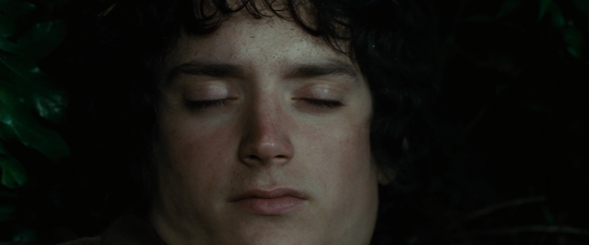 The Lord of the Rings: The Fellowship of the Ring (2001) HD screenshot 6290