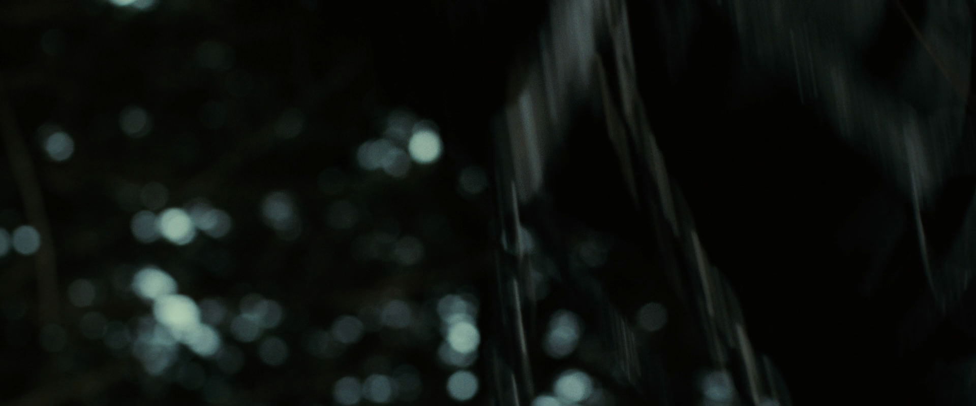 The Lord of the Rings: The Fellowship of the Ring (2001) screencap 6300