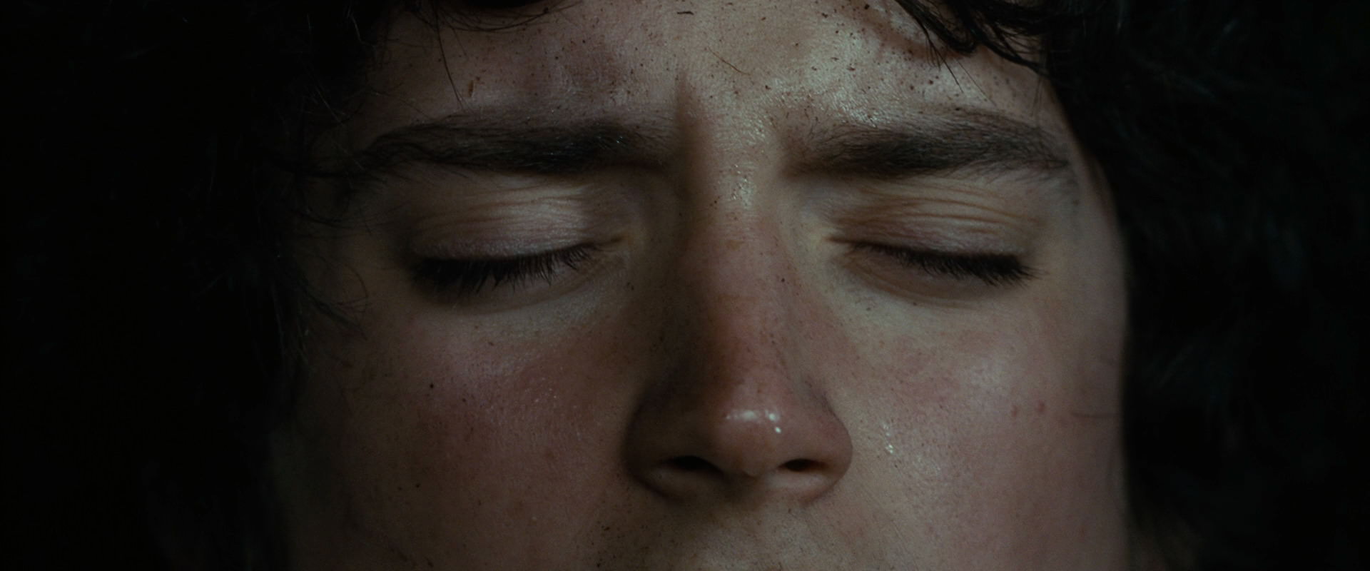 The Lord of the Rings: The Fellowship of the Ring (2001) screencap 6303