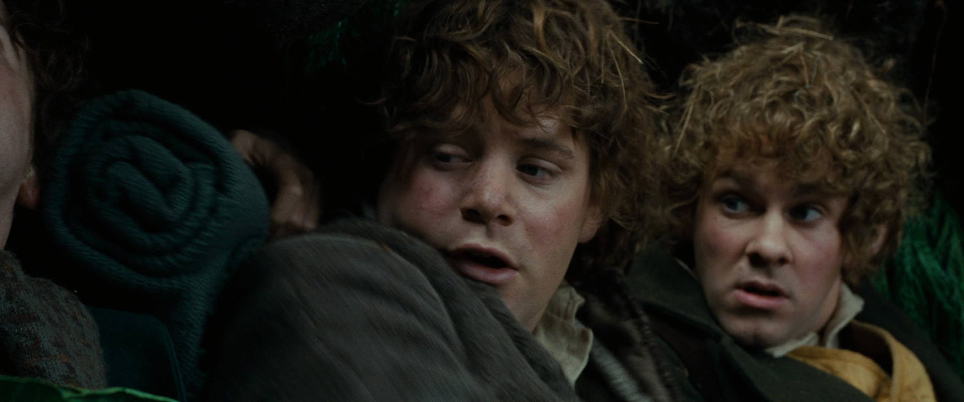 The Lord of the Rings: The Fellowship of the Ring (2001) screencap 6312