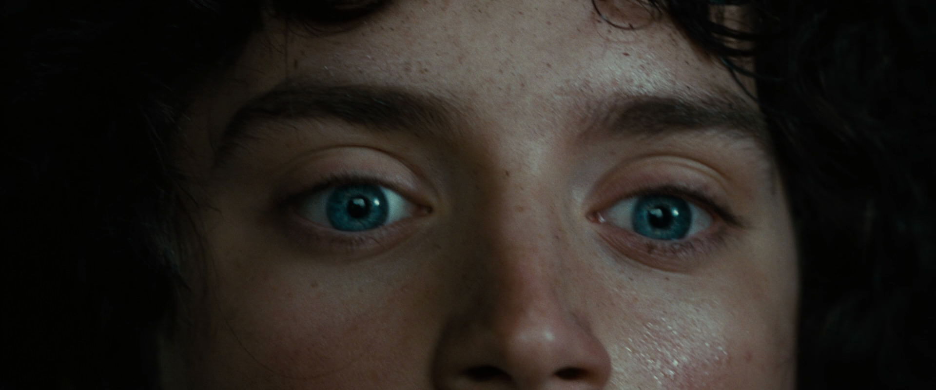 The Lord of the Rings: The Fellowship of the Ring (2001) HD screenshot 6314