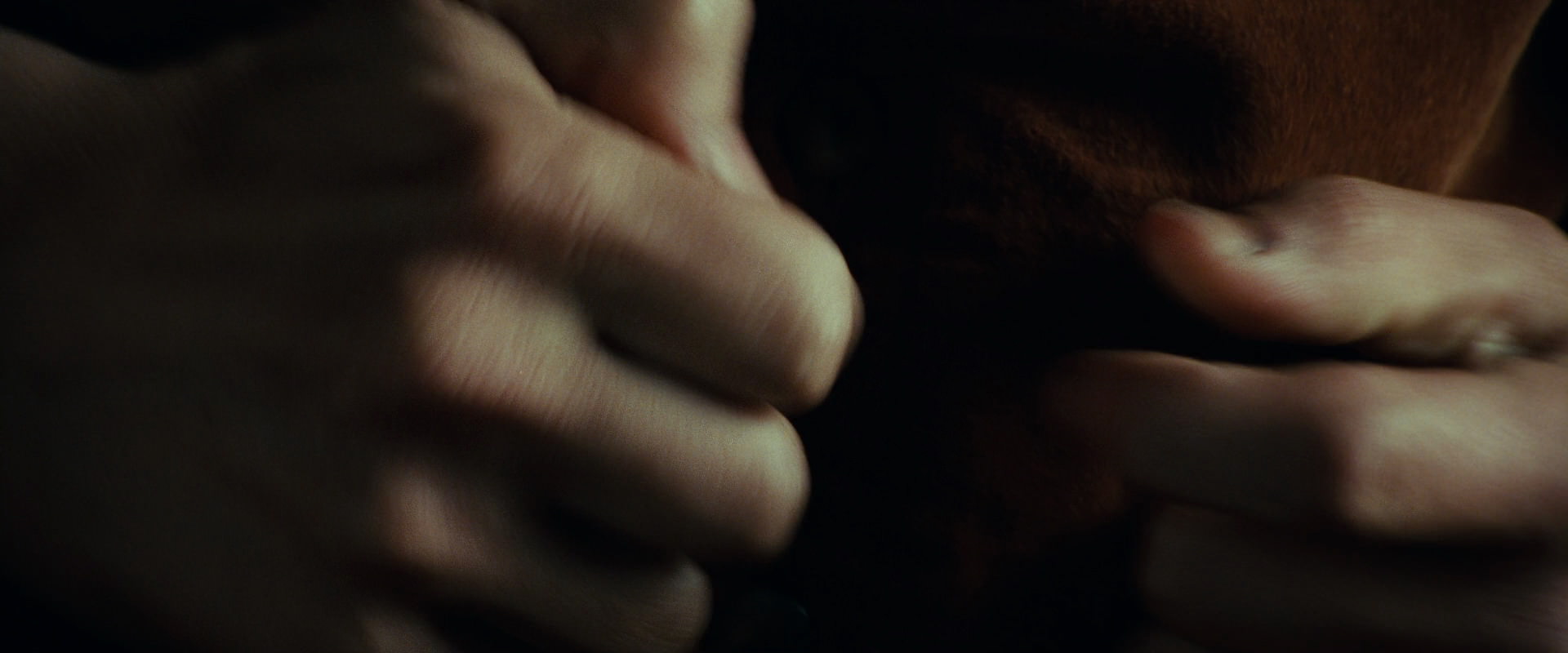 The Lord of the Rings: The Fellowship of the Ring (2001) screencap 6315