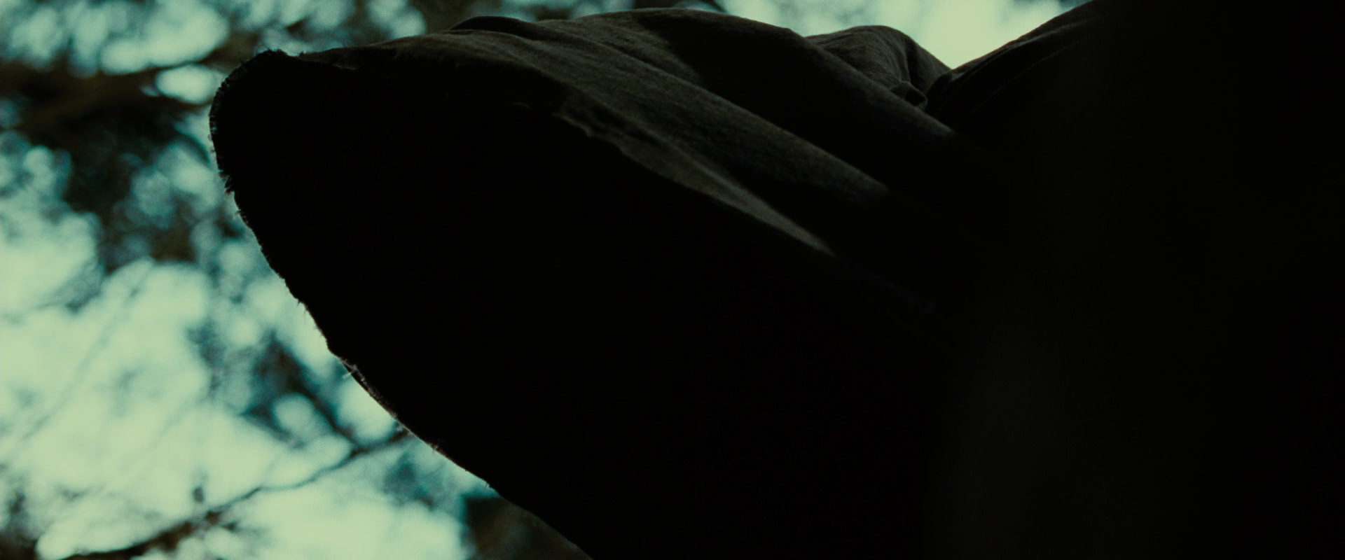 The Lord of the Rings: The Fellowship of the Ring (2001) HD screenshot 6317