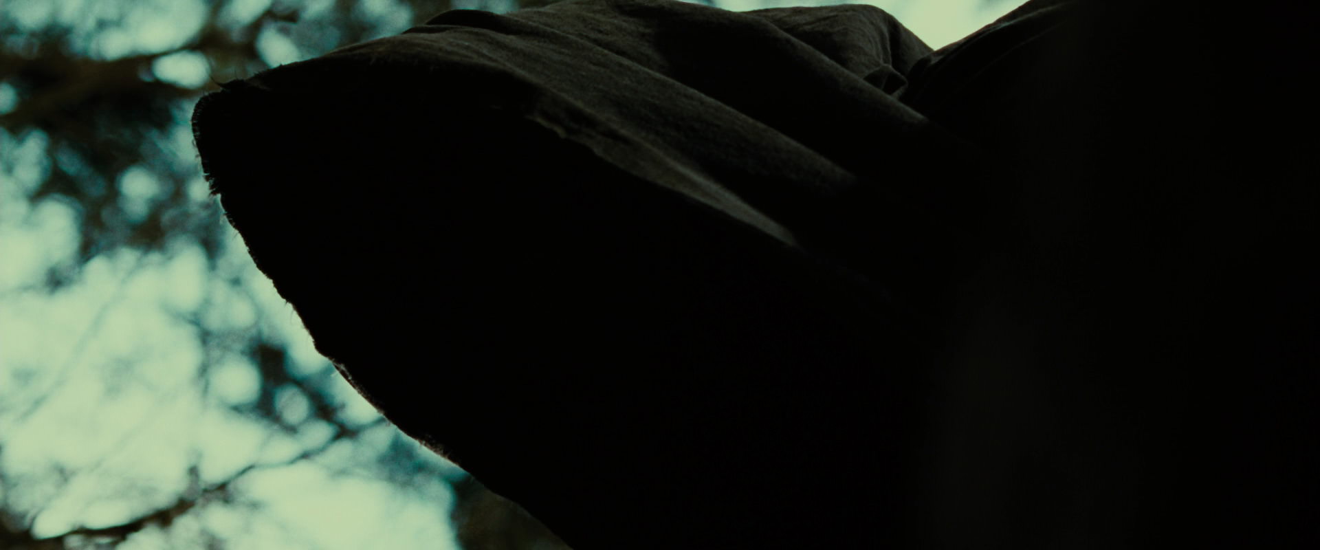 The Lord of the Rings: The Fellowship of the Ring (2001) screencap 6318