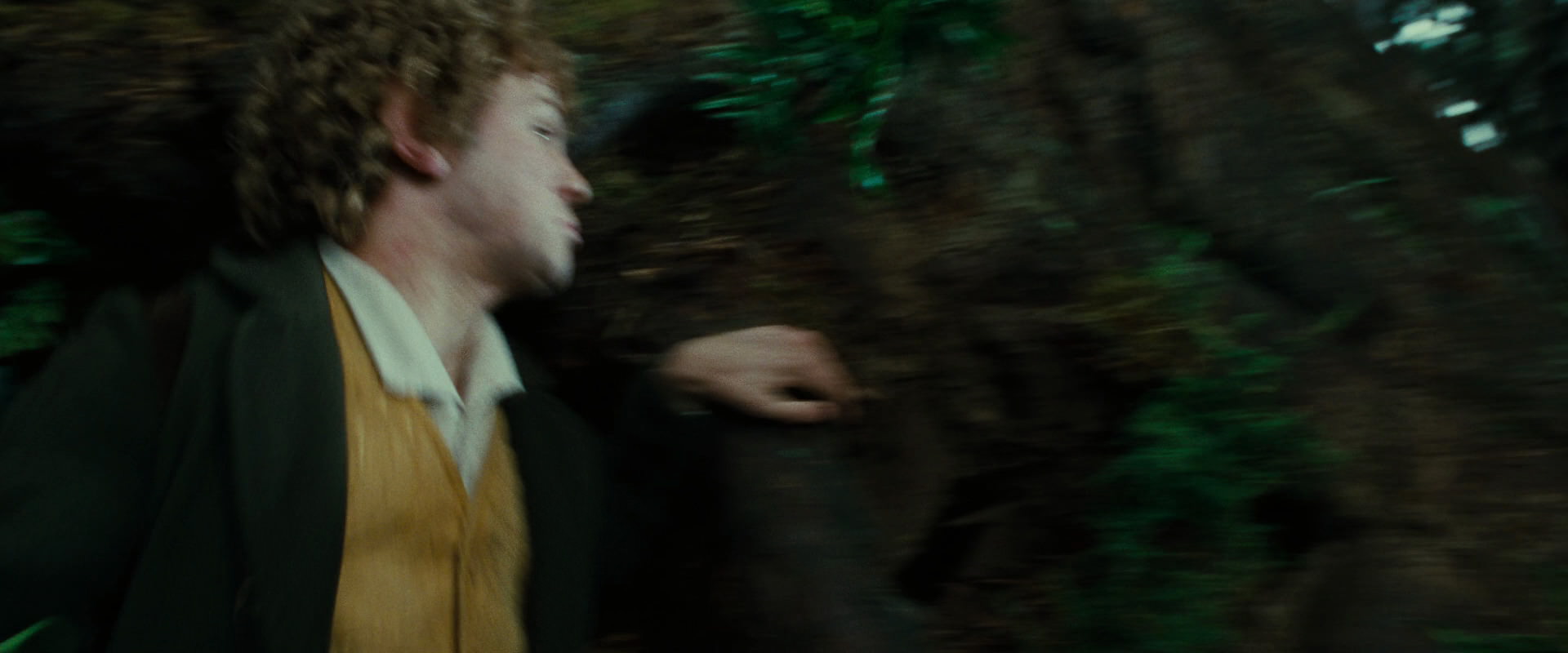 The Lord of the Rings: The Fellowship of the Ring (2001) movie still 6319