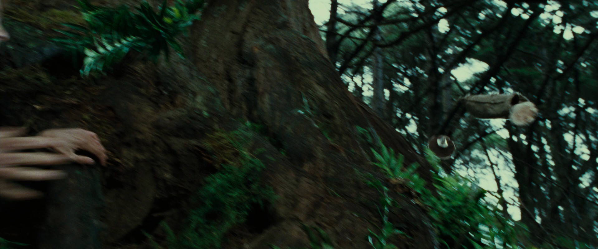 The Lord of the Rings: The Fellowship of the Ring (2001) HD screenshot 6320