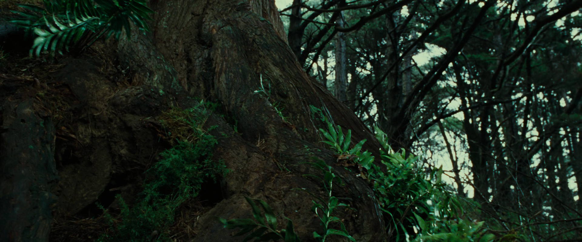 The Lord of the Rings: The Fellowship of the Ring (2001) screencap 6321