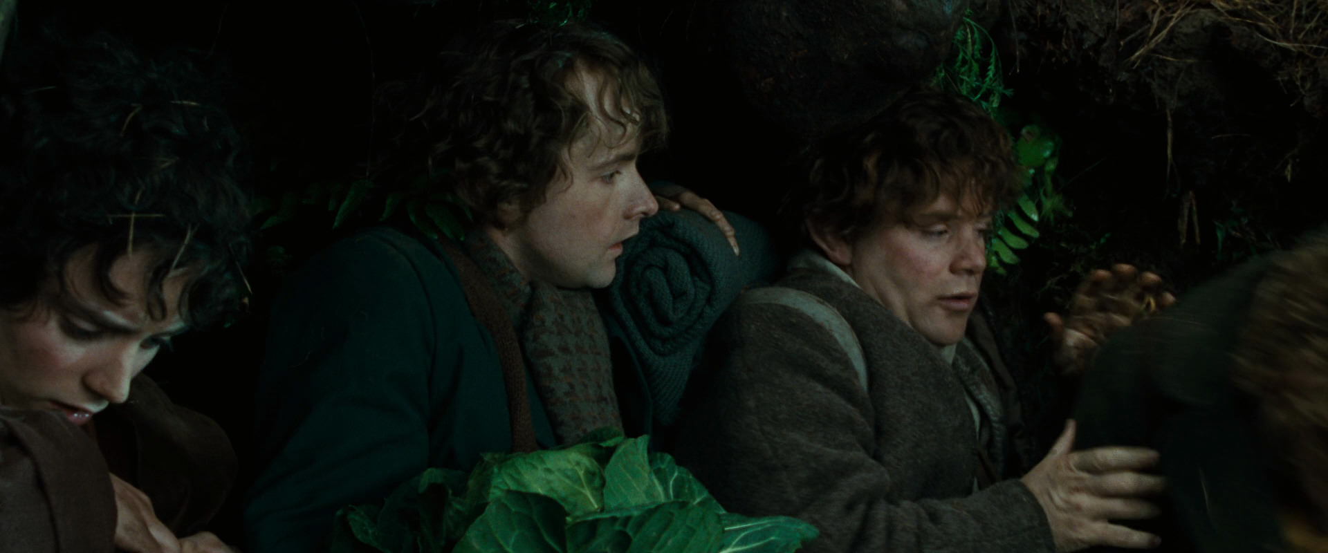 The Lord of the Rings: The Fellowship of the Ring (2001) screencap 6324