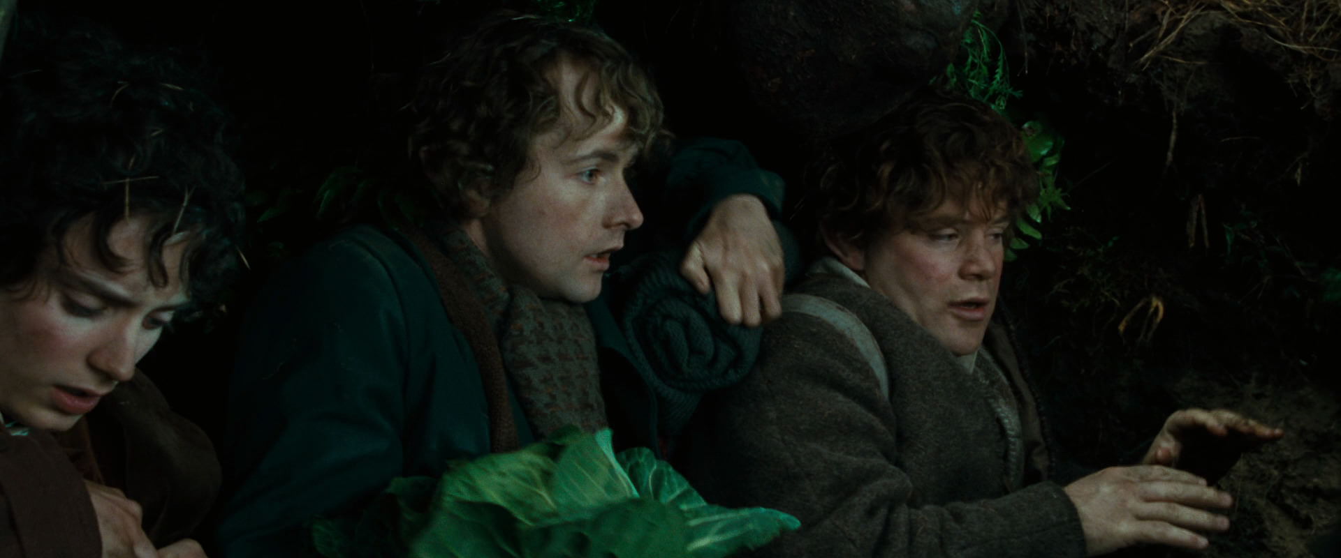 The Lord of the Rings: The Fellowship of the Ring (2001) movie still 6325
